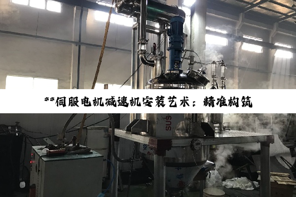 【科普解答】**伺服电机减速机安装艺术:精准构筑工业自动化基石**