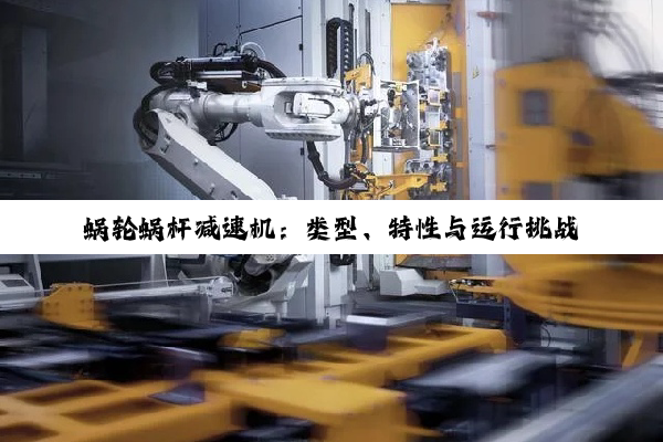 蜗轮蜗杆减速机：类型、特性与运行挑战全解析